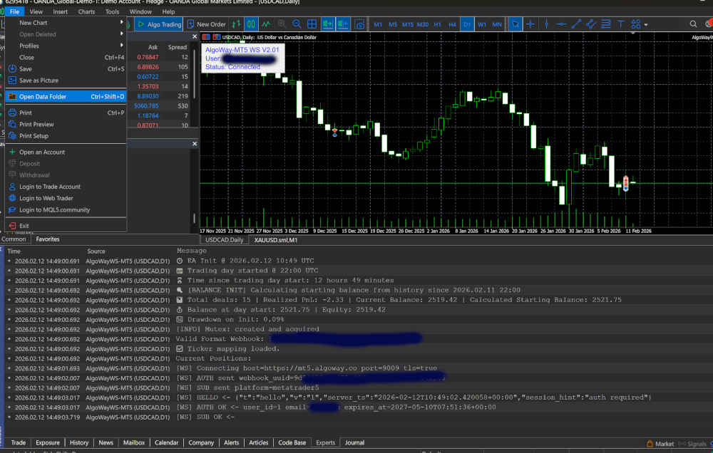 Attach AlgoWayWS-MT5 Expert Advisor to a MetaTrader 5 chart